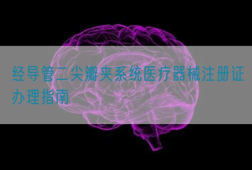 經導管二尖瓣夾系統(tǒng)醫(yī)療器械注冊證辦理指南(圖1)