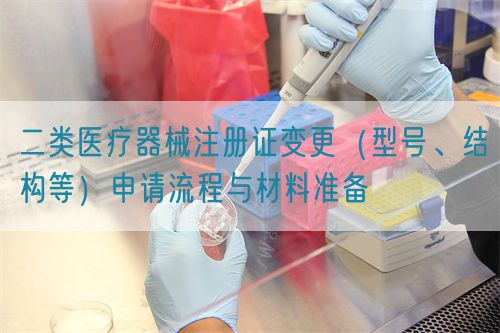 二類醫(yī)療器械注冊證變更（型號、結(jié)構(gòu)等）申請流程與材料準(zhǔn)備(圖1)