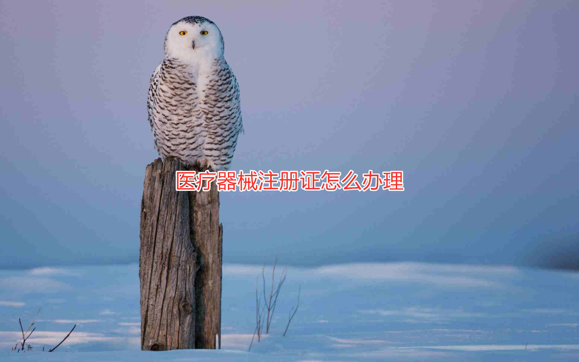 三類(lèi)醫(yī)療器械注冊(cè)證辦理流程和周期說(shuō)明(圖1)